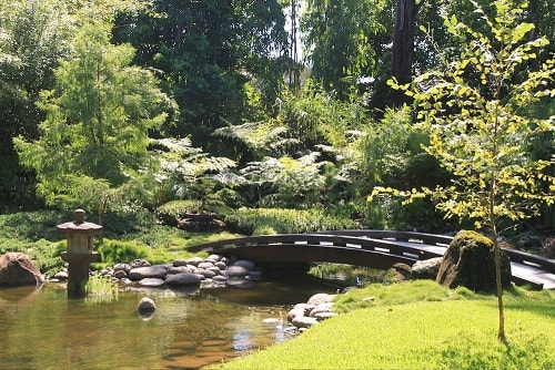 Japanese Garden Brisbane - After