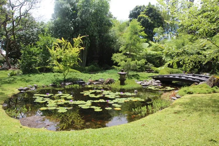 Japanese garden Brisbane landscaping testimonial