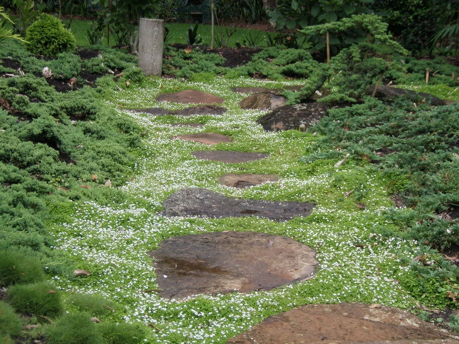 Natural Stone Pathways