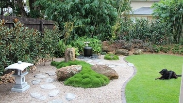 Japanese Garden Paddington