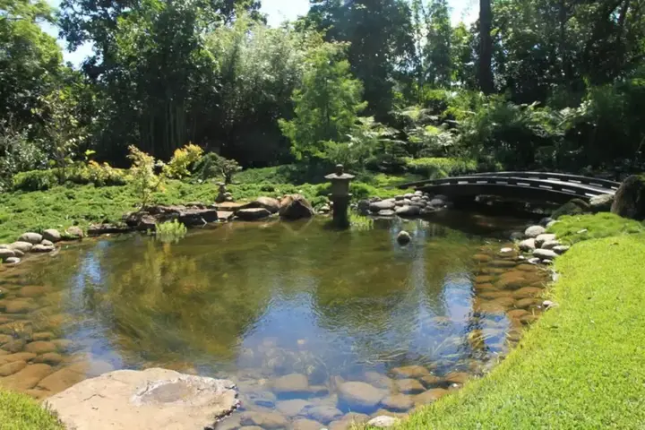 Japanese Garden Brisbane