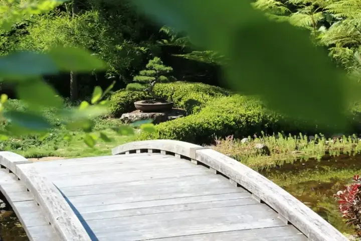 Japanese Garden Brisbane