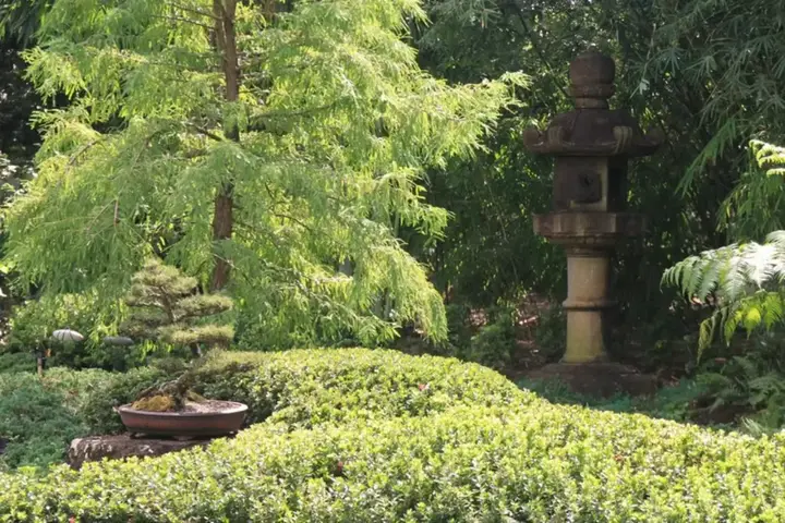 Japanese Garden Brisbane