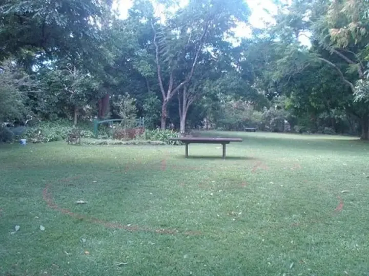 Japanese Garden Brisbane