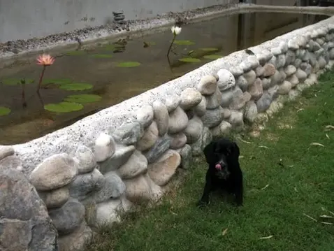 Stone Pond Brisbane