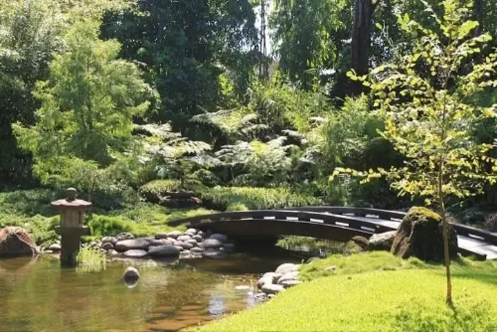 Japanese Garden Brisbane