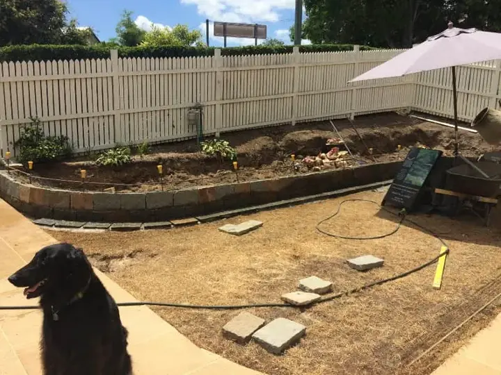 Porphyry Natural Stone Walls Toowong