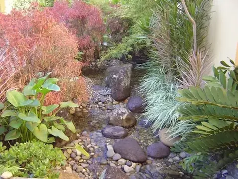 Pond and Stream Brisbane