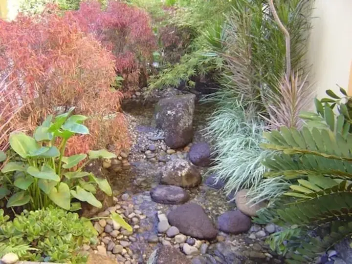 Pond and Stream Brisbane