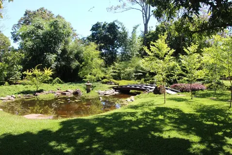Japanese Garden Brisbane
