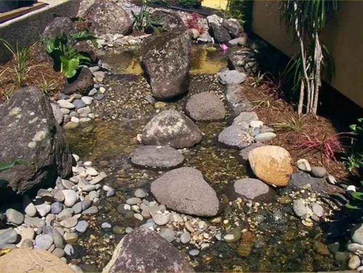Pond and Stream Brisbane