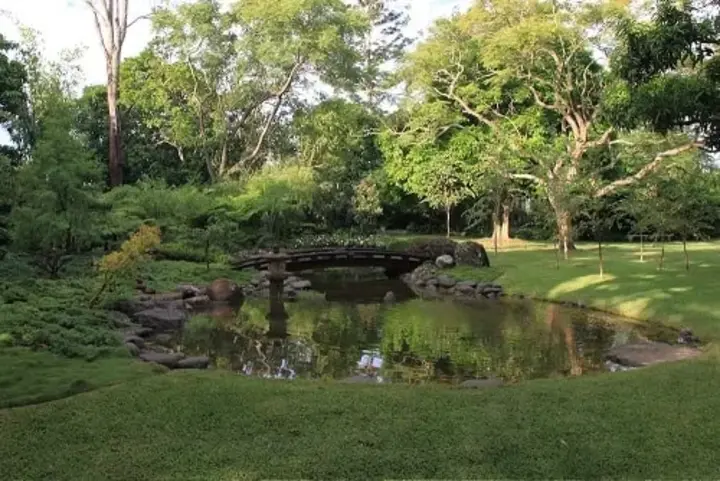 Japanese Garden Brisbane